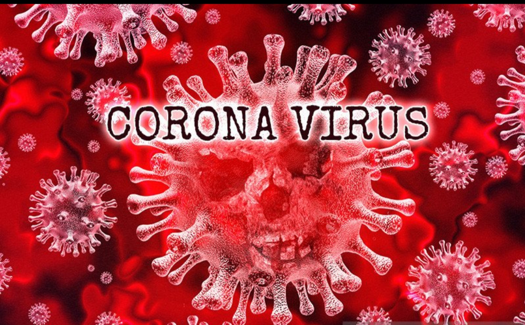 Ilustrasi virus covid19 (foto: internet)