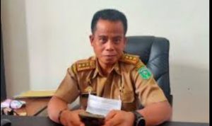 Kepala Dinas Pemberdayaan Masyarakat Desa (PMD), Luwu Timur, Halsen.