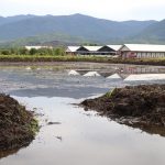 Destinasi Wisata Pemancingan Malili mulai dibangun tepat Berada di belakang pasar hobi yang dulunya ialah pusat niaga