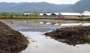 Destinasi Wisata Pemancingan Malili mulai dibangun tepat Berada di belakang pasar hobi yang dulunya ialah pusat niaga