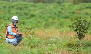 PT Vale Tbk Indonesia dalam menjaga kelestarian lingkungan. Foto laman PT Vale (int)