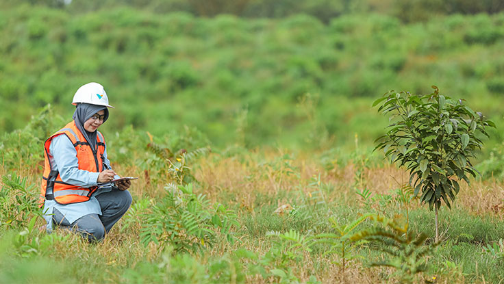 PT Vale Tbk Indonesia dalam menjaga kelestarian lingkungan. Foto laman PT Vale (int)