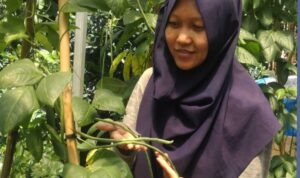 Co-Founder Garis Kebun, Diah Nurmalasari