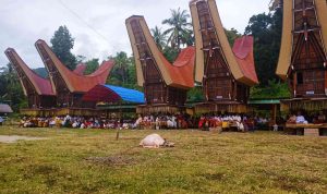 Ritual Mangrara Banua Suku Toraja