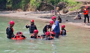 WhatsApp Image 2025-11-08 at 07.39.44